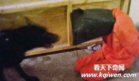 几十张美军虐囚照片大曝光 裸体虐俘触目惊心(组图)